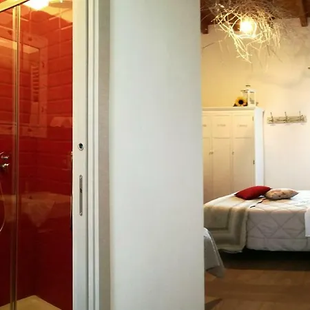 دانييلي كامير فيرونا